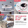 AirClean Trap™ | Deine leise Waffe gegen Fliegen