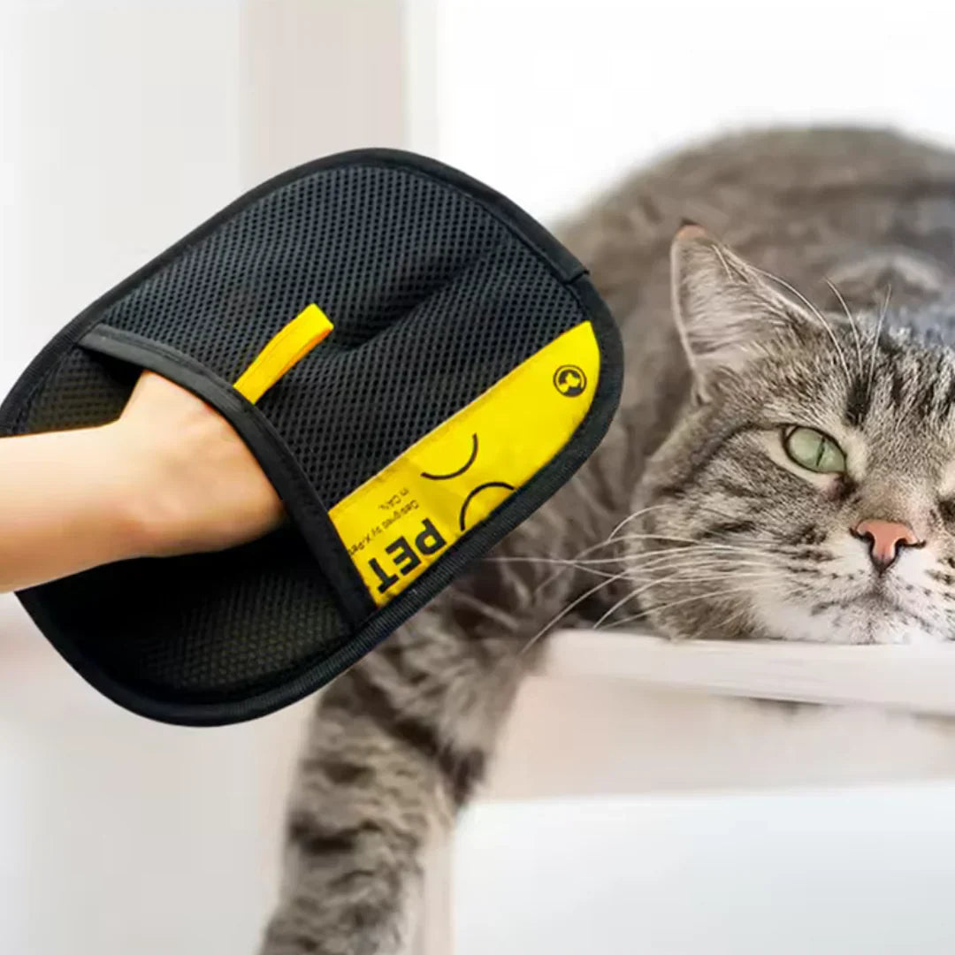 PawPure™ | Der weiche Handschuh für glückliche Tiere - 1+1 GRATIS
